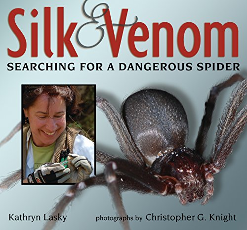 Silk & Venom: Searching For A Dangerous