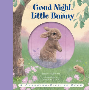 Good Night, Little Bunny 