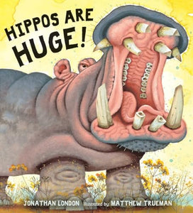 Hippos Are Huge! 