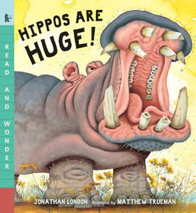 Hippos Are Huge! 