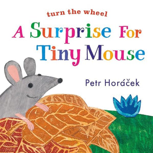 A Surprise for Tiny Mouse 