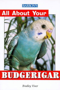 Budgerigar 