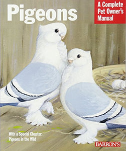 Pigeons 