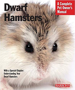 Dwarf Hamsters 