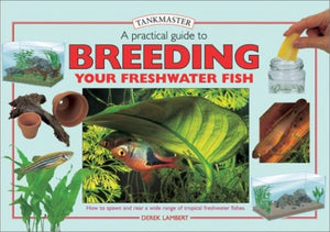 A Practical Guide to Breeding Your Freshwater Fish 