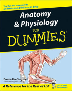 Anatomy and Physiology for Dummies 