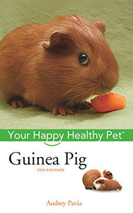 Guinea Pig 