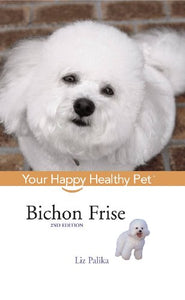 Bichon Frise 