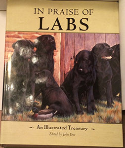 In Praise of Labs 