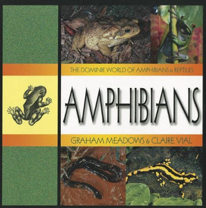 Amphibians 