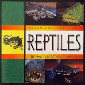 Reptiles 