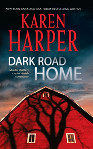 Dark Road Home 