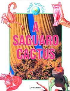 A Saguaro Cactus 