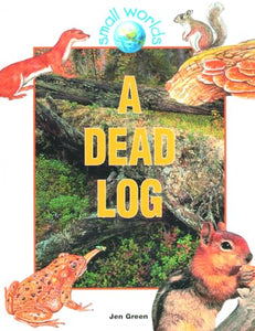 A Dead Log 