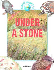 Under a Stone 