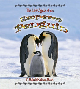 The Life Cycle of an Emperor Penguin 