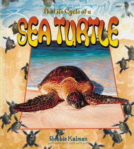 The Life Cycle of a Sea Turtle 