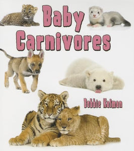 Baby Carnivores 