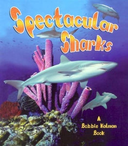 Spectacular Sharks 