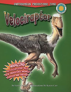 Velociraptor 