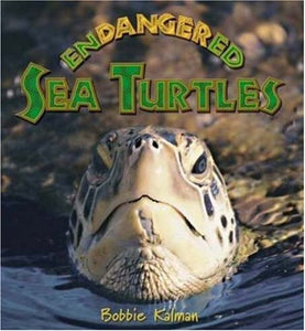 Endangered Sea Turtles 