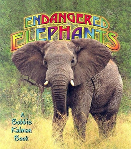 Endangered Elephants 