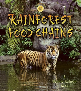 Rainforest Food Chains 