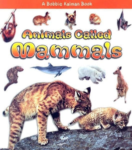 Animals Called Mammals 