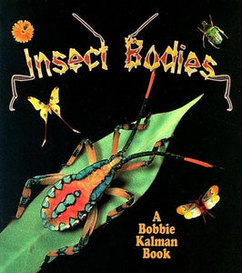 Insect Bodies 