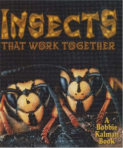 Insects That Work Together 