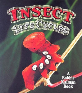 Insect Life Cycles 