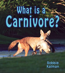 What is a Carnivore 