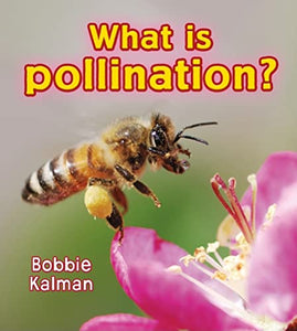 What is pollination? 