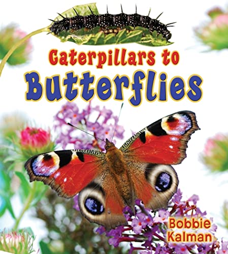 Caterpillars to Butterflys