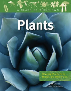 Plants: Flowering Plants, Ferns, Mosses, and Other Plants 