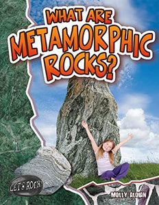 What Are Metamorphic Rocks? 