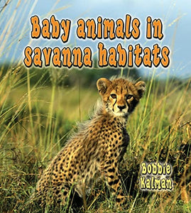 Baby Animals in Savanna Habitats 