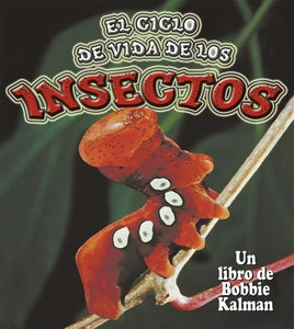 El Ciclo de Vida de Los Insectos (Insect Life Cycles) 