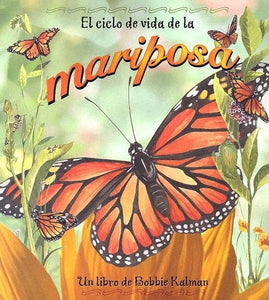 El Ciclo de Vida de la Mariposa 