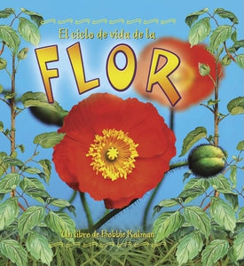 El Ciclo de Vida de La Flor 