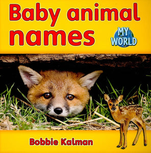 Baby animal names 