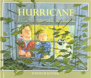 Hurricane 