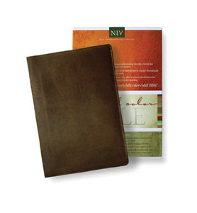 Standard Full Color Bible-NIV 