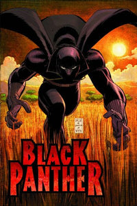 Black Panther: Who Is The Black Panther 