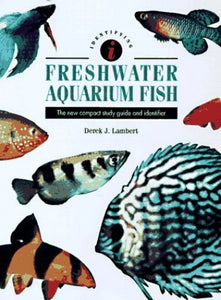 Identifying Fresh Water Aquarium Fish 