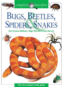 Bugs, Beetles, Spiders, & Snakes 