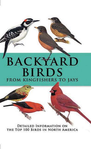 Backyard Birds from Kingfishers to Jays