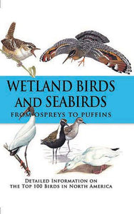 Wetland Birds and Seabirds 