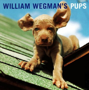 William Wegman's Pups 