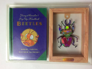 Beetles 